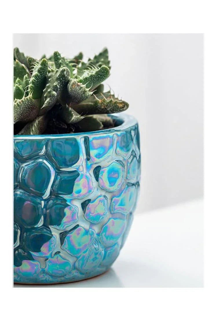 4 Pcs Ceramic Flowerpot Set Succulent Plant Pots Nordic Simple Style Design Planter Cactus Flower Pot With Tray Home Interior Design, Garden Décor Gift (Plants NOT Included) - Fatio General Trading