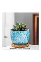 4 Pcs Ceramic Flowerpot Set Succulent Plant Pots Nordic Simple Style Design Planter Cactus Flower Pot With Tray Home Interior Design, Garden Décor Gift (Plants NOT Included) - Fatio General Trading