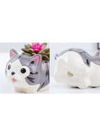 4 Pcs Cute Succulent Indoor Flower Pots with Drainage Hole Flower Plant Pot Cartoon Ceramic Tiny Pot for Home Interior Design Set of 4 (Plants NOT Included) - Fatio General Trading