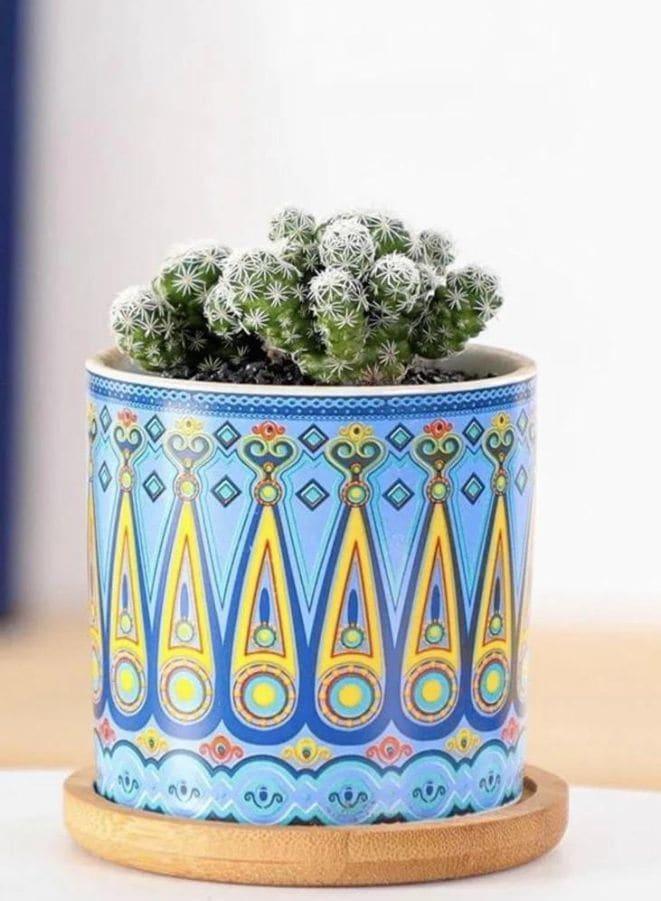 4 Pcs Succulent Plant Pots Small Modern Ceramic Indoor Flower Pots with Bamboo Tray for Cactus Herbs Home Interior Design 2 (Plants Not Included) - Fatio General Trading