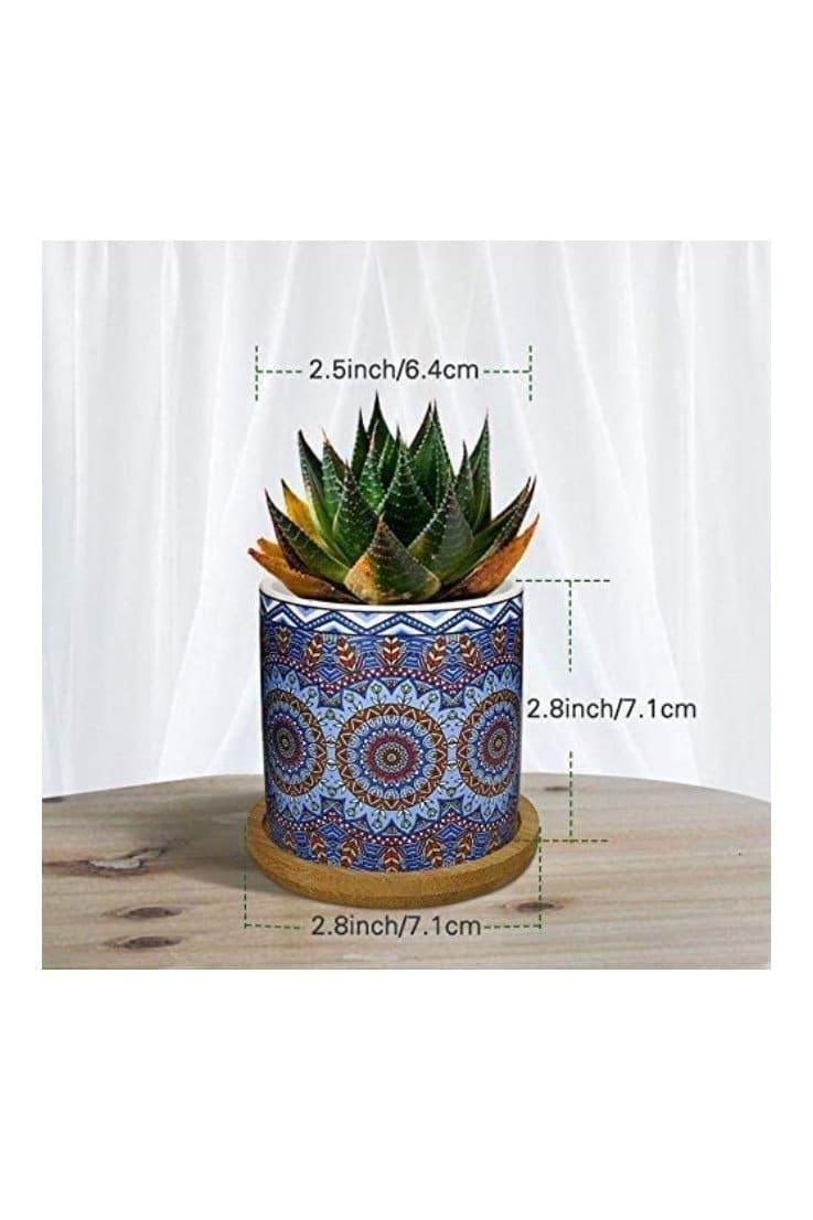 4 Pcs Succulent Plant Pots Small Modern Ceramic Indoor Flower Pots with Bamboo Tray for Cactus Herbs Home Interior Design 6 (Plants Not Included) - Fatio General Trading