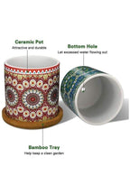 4 Pcs Succulent Plant Pots Small Modern Ceramic Indoor Flower Pots with Bamboo Tray for Cactus Herbs Home Interior Design 6 (Plants Not Included) - Fatio General Trading