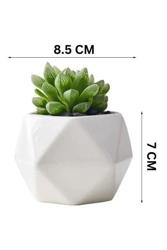 6 Pcs Geometric Succulent Indoor Flower Pots, Set of 6 White Ceramic Succulent Minimalist Plant Pot with Bamboo Tray (Plants NOT Included) - Fatio General Trading