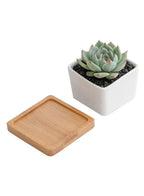 6 Pcs Geometric Succulent Indoor Flower Pots, Set of 6 White Ceramic Succulent Square Plant Pots with Bamboo Tray (Plants NOT Included) - Fatio General Trading