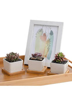6 Pcs Geometric Succulent Indoor Flower Pots, Set of 6 White Ceramic Succulent Square Plant Pots with Bamboo Tray (Plants NOT Included) - Fatio General Trading