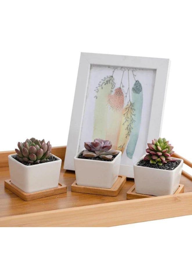 6 Pcs Geometric Succulent Indoor Flower Pots, Set of 6 White Ceramic Succulent Square Plant Pots with Bamboo Tray (Plants NOT Included) - Fatio General Trading