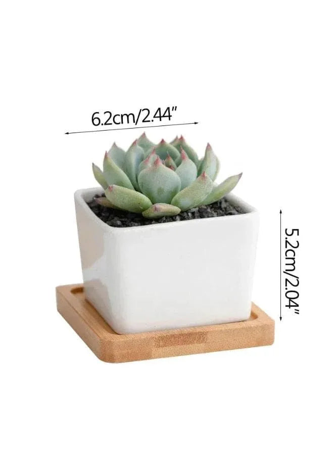 6 Pcs Geometric Succulent Indoor Flower Pots, Set of 6 White Ceramic Succulent Square Plant Pots with Bamboo Tray (Plants NOT Included) - Fatio General Trading