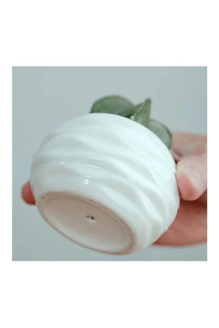 6 Pcs Geometric Succulent Indoor Flower Pots, Set of 6 White Ceramic Succulent Wave Design Plant Pots with Bamboo Tray (Plants NOT Included) - Fatio General Trading