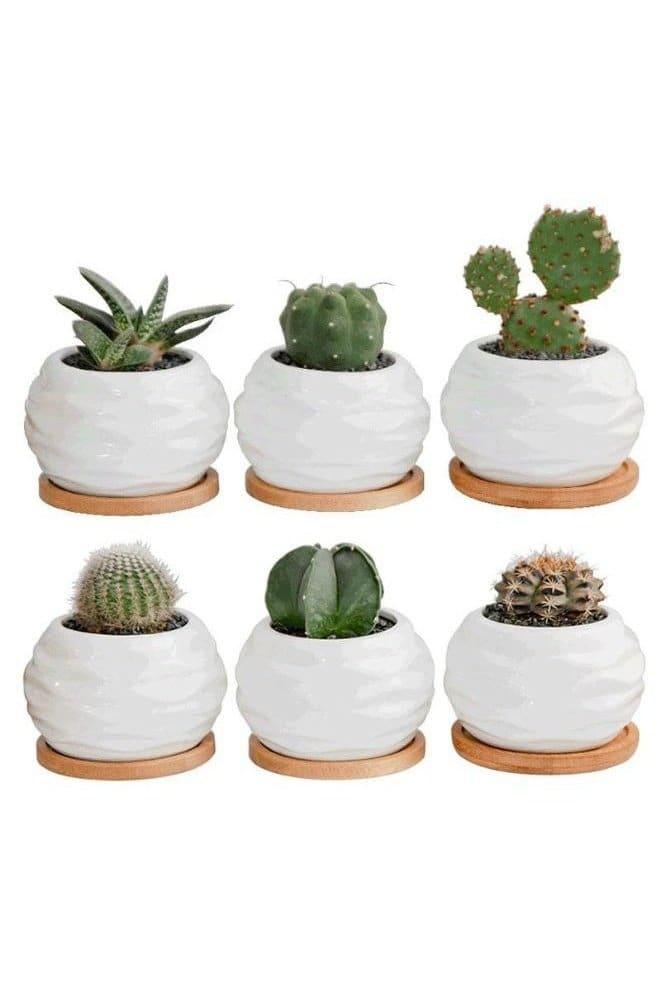 6 Pcs Geometric Succulent Indoor Flower Pots, Set of 6 White Ceramic Succulent Wave Design Plant Pots with Bamboo Tray (Plants NOT Included) - Fatio General Trading