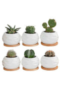 6 Pcs Geometric Succulent Indoor Flower Pots, Set of 6 White Ceramic Succulent Wave Design Plant Pots with Bamboo Tray (Plants NOT Included) - Fatio General Trading