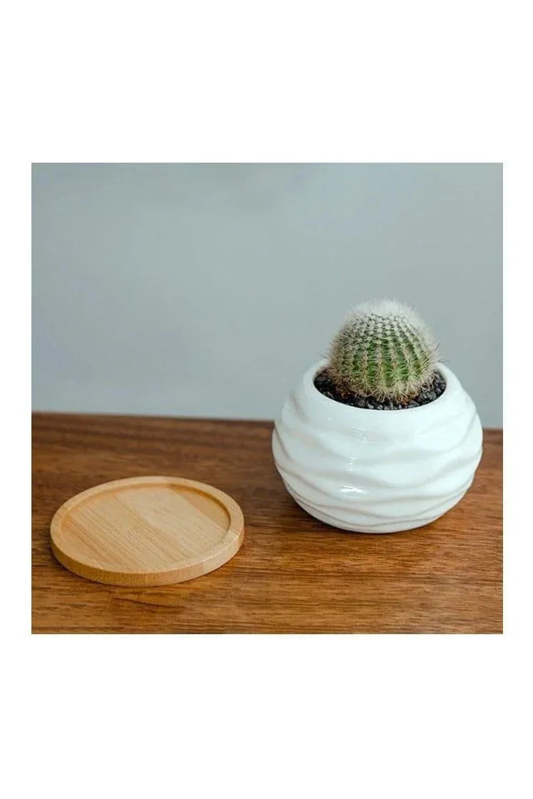 6 Pcs Geometric Succulent Indoor Flower Pots, Set of 6 White Ceramic Succulent Wave Design Plant Pots with Bamboo Tray (Plants NOT Included) - Fatio General Trading