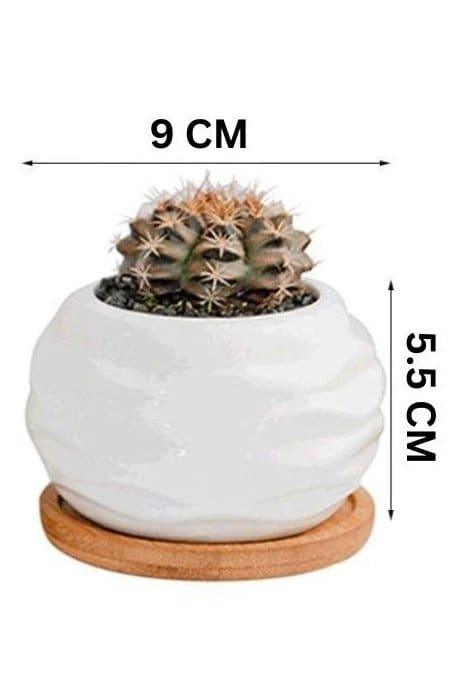 6 Pcs Geometric Succulent Indoor Flower Pots, Set of 6 White Ceramic Succulent Wave Design Plant Pots with Bamboo Tray (Plants NOT Included) - Fatio General Trading