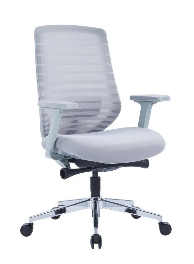 Premium Grey Mesh Office Chair with Adjustable Lumbar Support and Recline - Ergonomic Desk Chair for Home or Office with Stylish Design and Comfort Features with Arm Rest